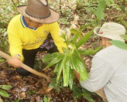 สัมมนา "ป่าชุมชนเพื่อการปฏิรูปสังคมฯ" 14 ธันวาคม 2554 ณ รร.มารวยการ์เด้น