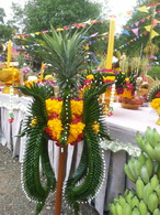 20150731 092245 resize