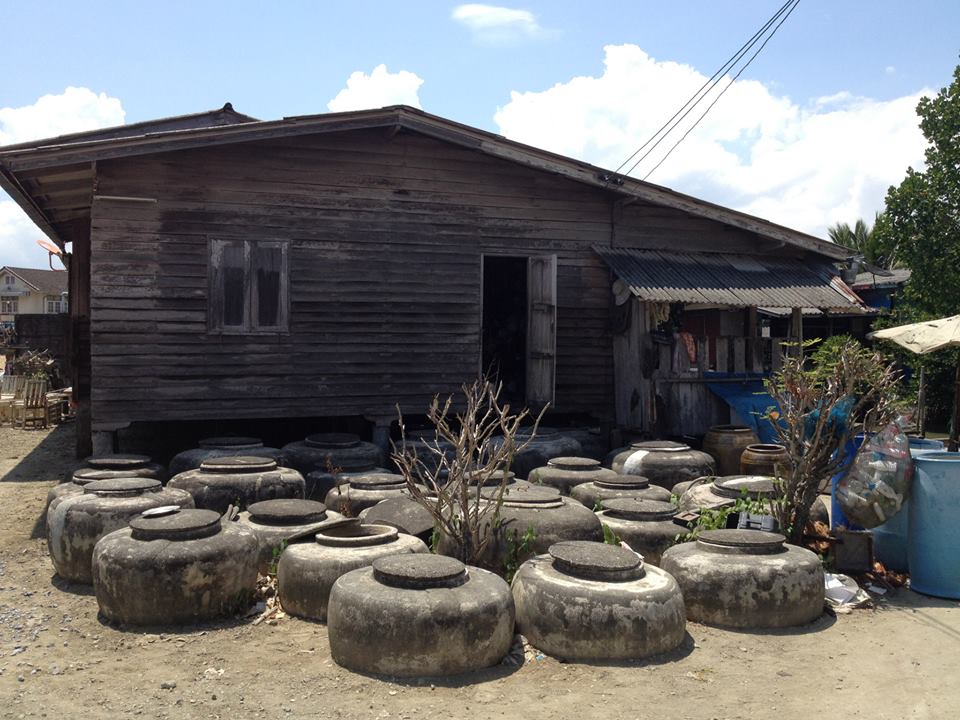 10441236 10204484346763656 8057239872706964462 n