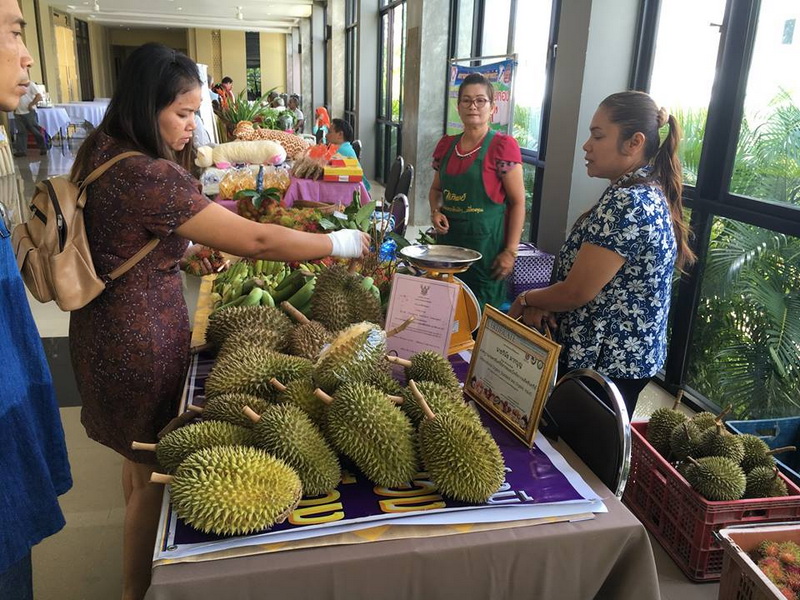 14316762 1166253023435055 8330815656082047749 n