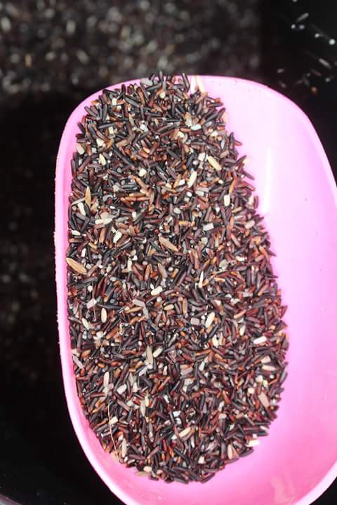 14137861 1440663872627006 1156176374 n