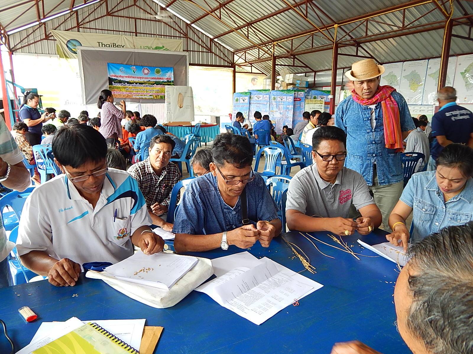 13555704 1102782723147153 1823495545 o