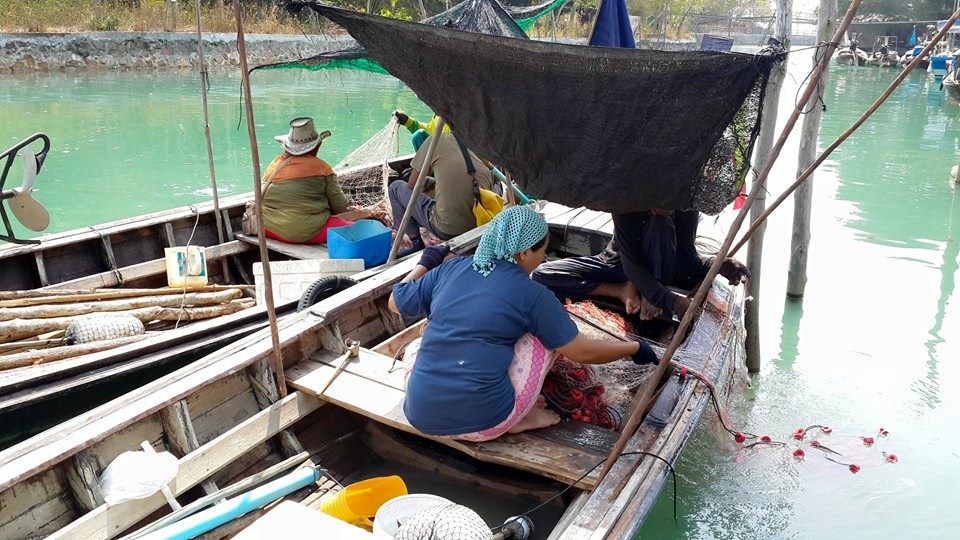 11060986 339103182953887 6923740476025745144 n