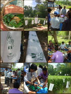 2015 06 27 17 54 35 deco resize