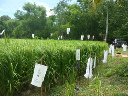 20150627 112211 resize