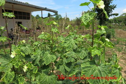 IMG 8570 copy resize