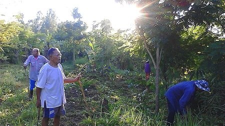 12309068 950690591644651 1255017411 n