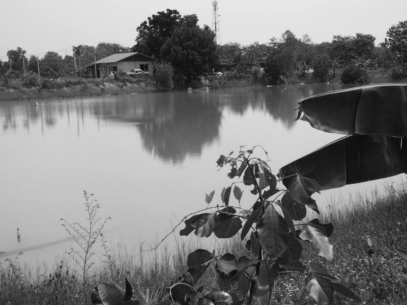 14808081 581372185381891 1490537617 o