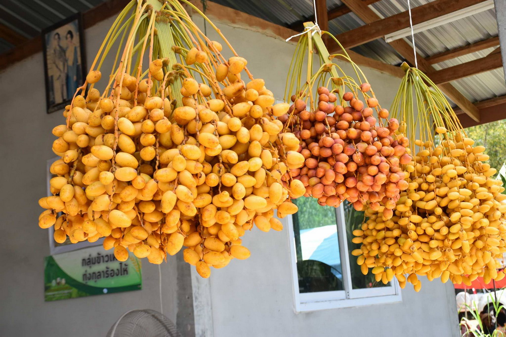 20629156 1905436216382750 1066106527 o