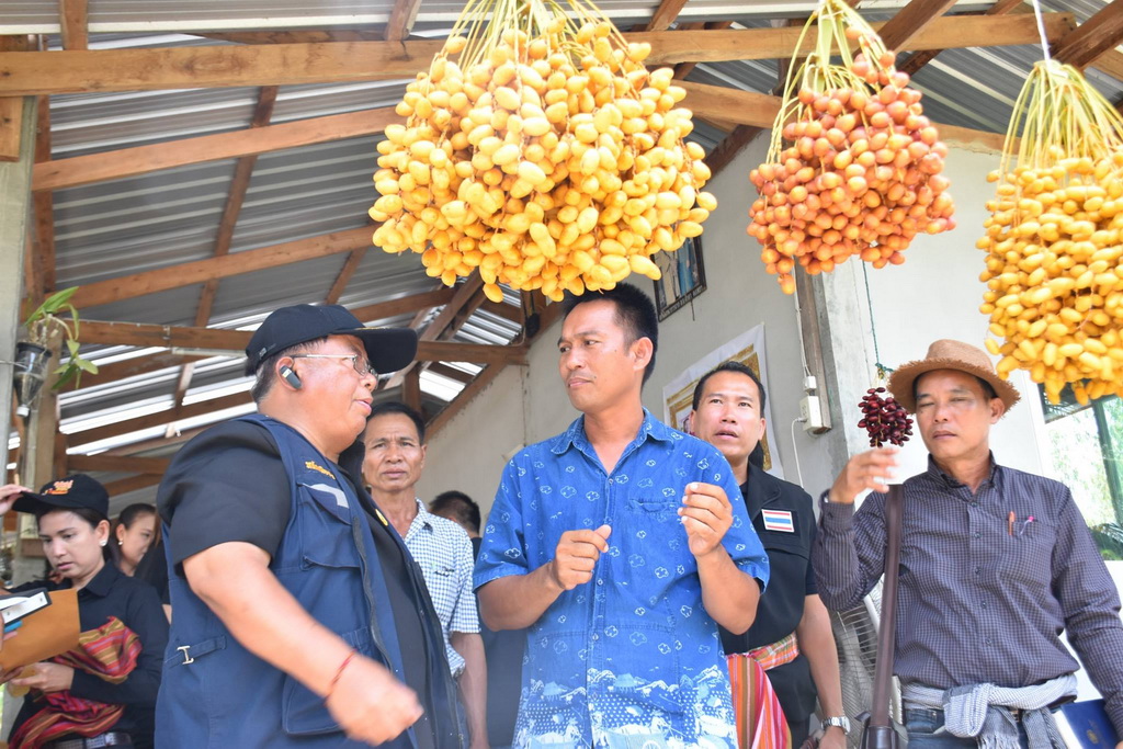 20629943 1905436213049417 1625075327 o