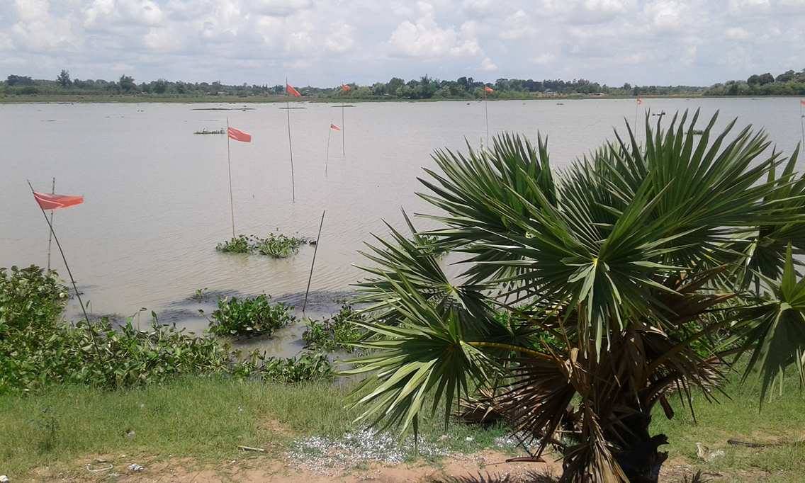 18452749 1740145482678842 7754983 o