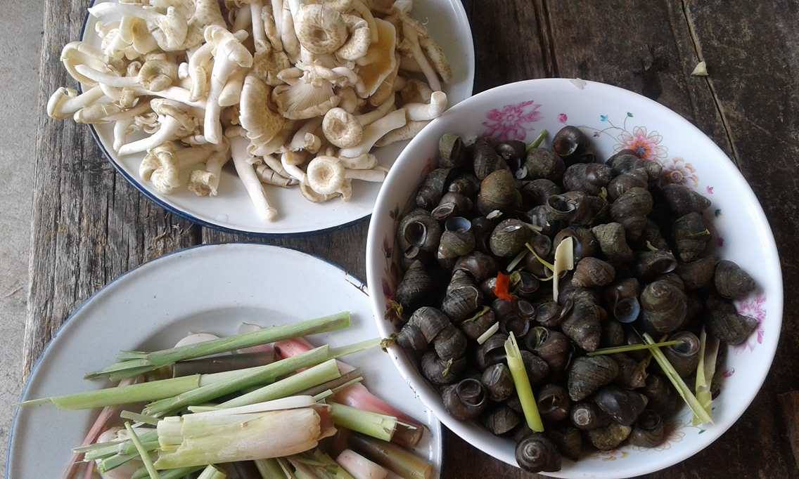 18471842 1740145492678841 1936277656 o