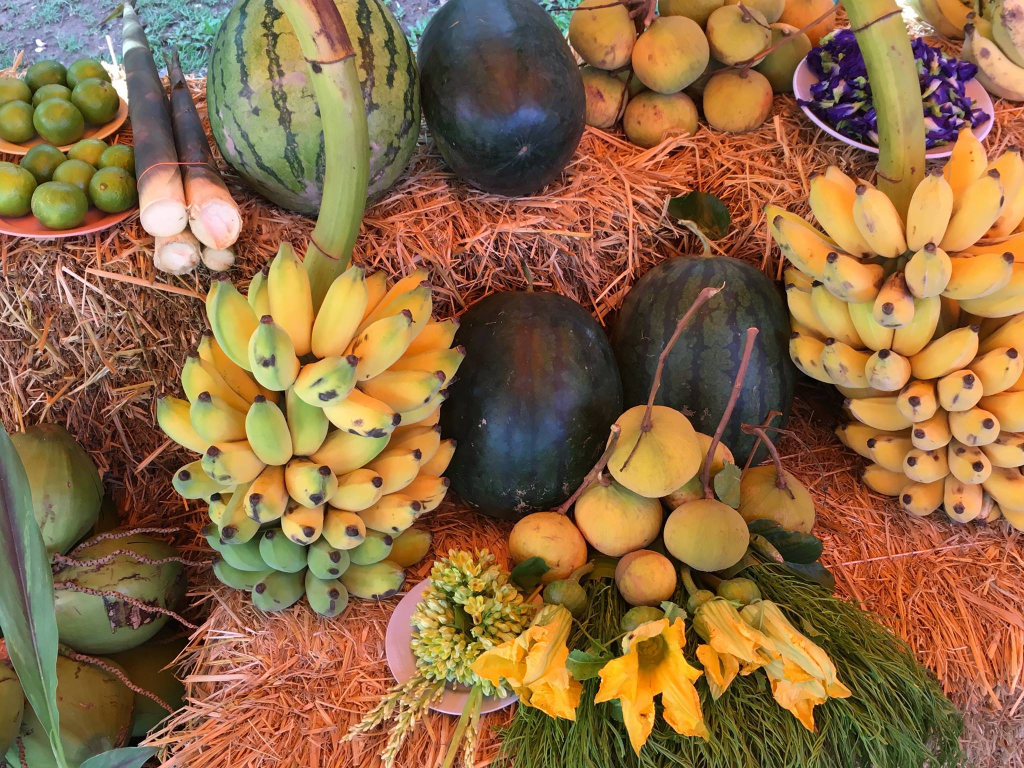 18721404 10209528632032081 330545718 o