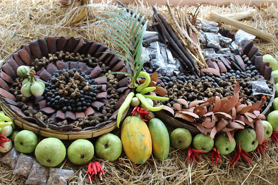 17498706 1677910265569031 1833133061653882032 n