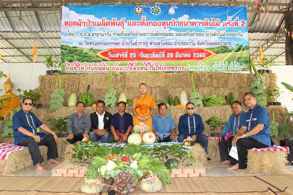 17522884 1677904785569579 624329272247637702 n