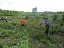 11907194 926792497412844 7650395608911952321 o 1