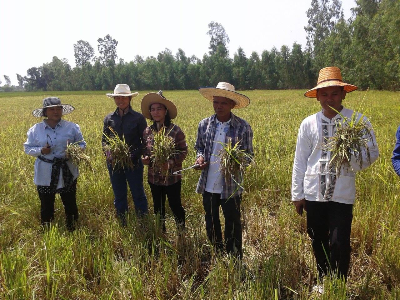 11159299 1096199040406826 538980228 o