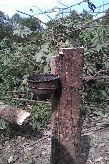 10986656 666489760117719 4509878631959373855 n