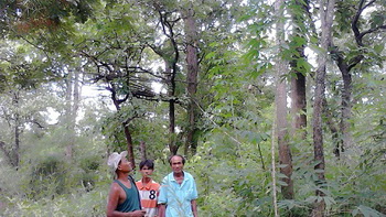 11639738 885144498199261 29332821 o