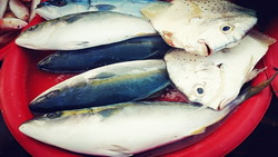 10167945 339104492953756 1070475250818035842 n resize