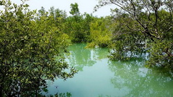 10329018 339103312953874 1670533955541996960 n resize