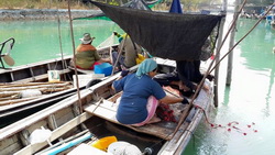 11060986 339103182953887 6923740476025745144 n resize