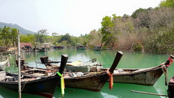 11061310 339102892953916 5146438483140541058 n resize