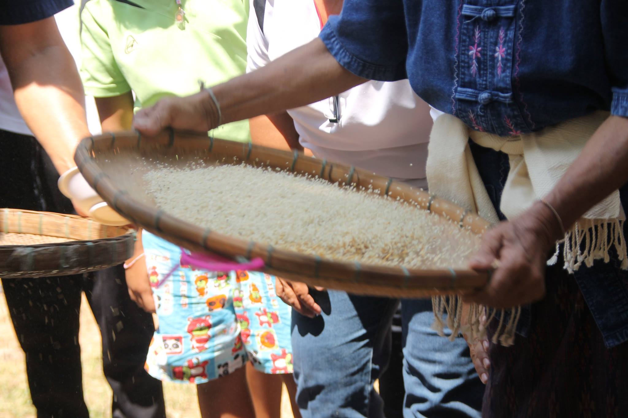 12209377 992612297446890 215351617 o