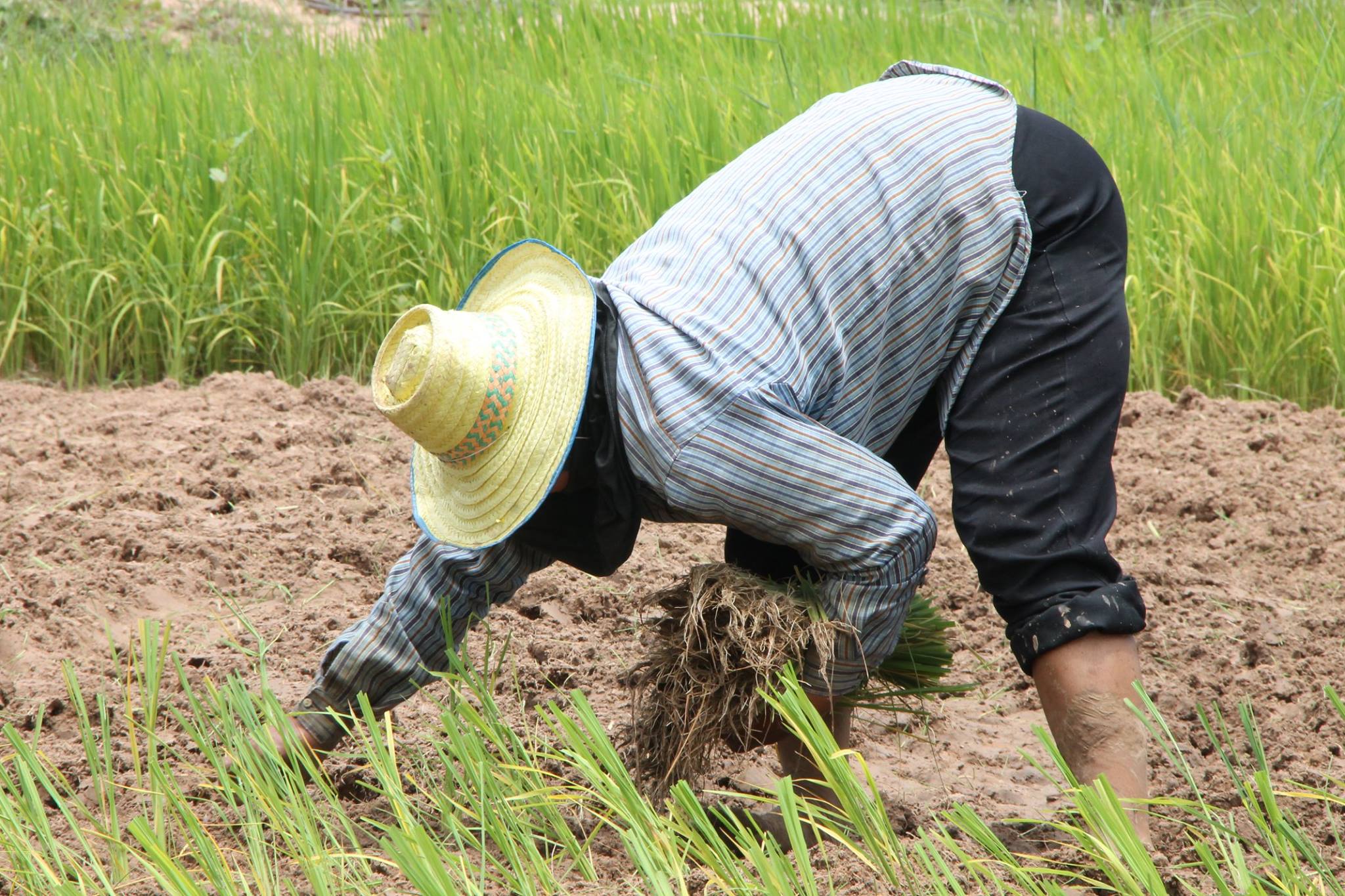 12214289 992610877447032 132376900 o