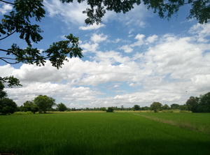 IMG20140710135421916 resize