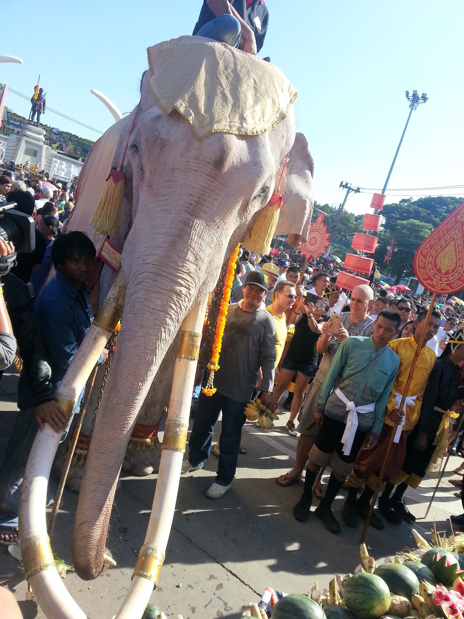 12238041 1528172124172840 7235659322144852520 o