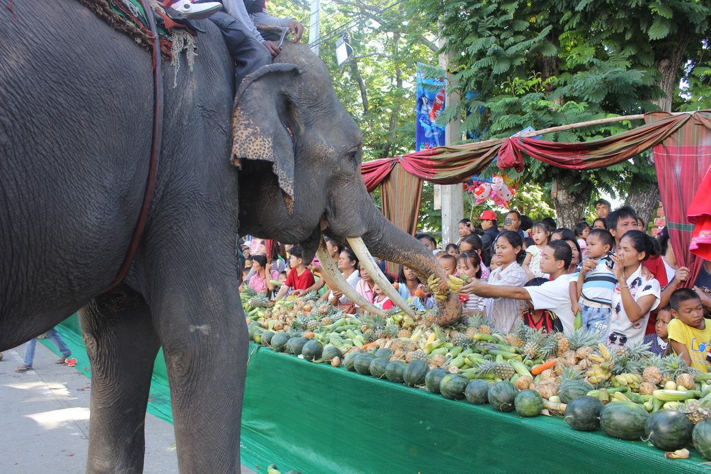 12238495 652156094887033 7085991687093035529 o