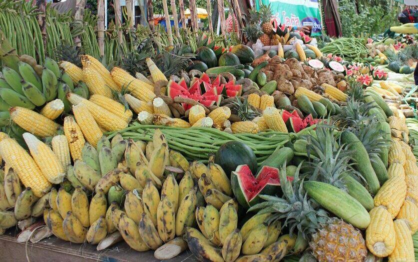 12241446 523271527839041 5936405876007832023 n