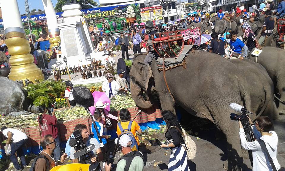 12246900 926554397430527 2654605899099945522 n