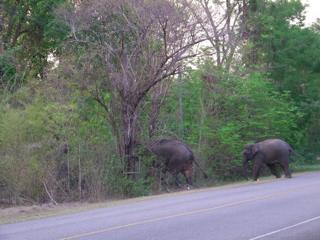 10517181 533438943428202 1385516563 n