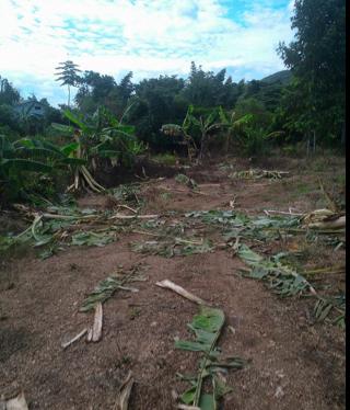 10529458 533439680094795 839276933 n