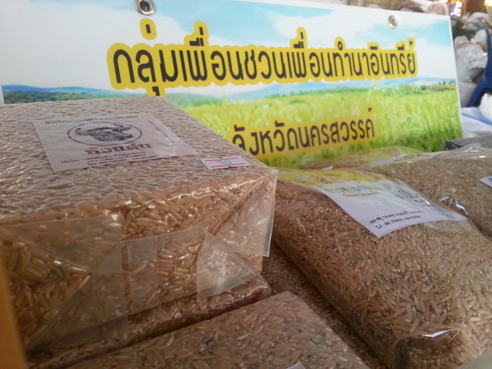 klang200359.02 resize