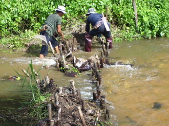 lampangfai2.04 resize