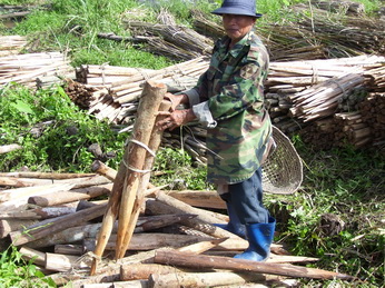 lampangfai2.08 resize