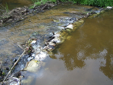 lampangjazon01 resize