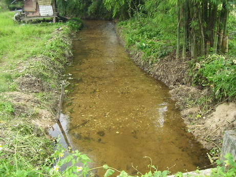 lampangjazon06 resize