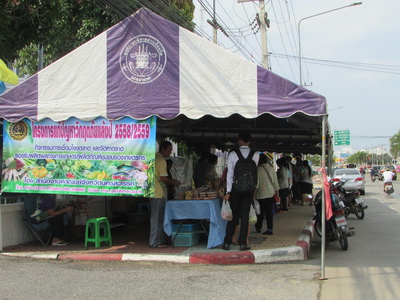 1447505704337 resize