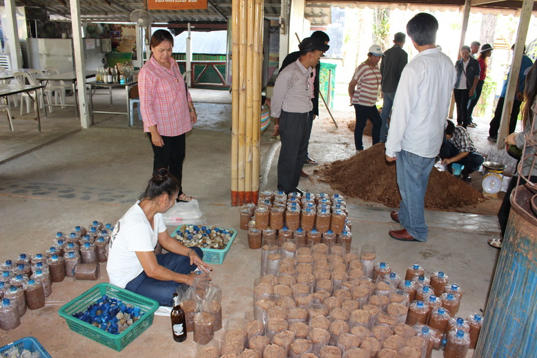 payao03.160914 resize