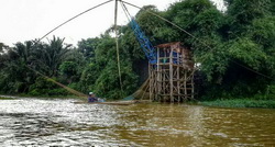 1420520986172 resize