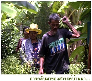 การกลับมาของสวรรค์บ้านนา1