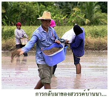 การกลับมาของสวรรค์บ้านนา2