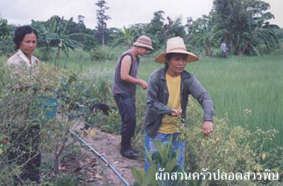 เกษตรกรกู้ชาติเมืองยโสธร