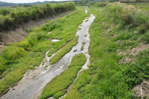 ๘ จังหวัดเหนือบนเน้นแก้ปัญหาภัยพิบัติด้วยภูมิปัญญาท้องถิ่น