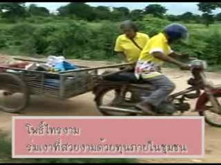 โพธิ์ไทรงามร่มเย็นด้วยทุนภายในชุมชน