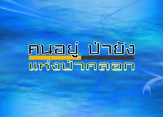 คนอยู่ ป่ายัง แห่งป่าคลอก